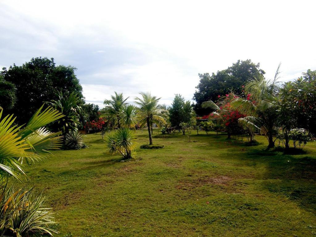 Kalipayan Beach Resort & Atlantis Dive Center Panglao Eksteriør billede